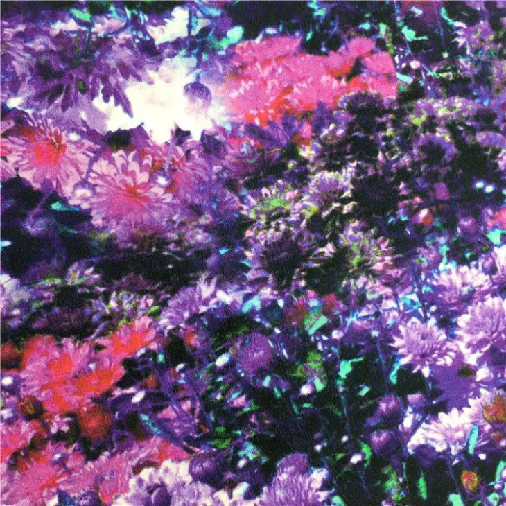 Digital Printing Silk Crepe De Chine Fabric