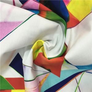 Large Scale Print Fabric